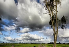 硬仗拼搏！球队险胜对手取得资格