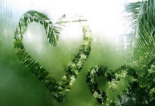 顶级外援加盟，球队整体实力提升