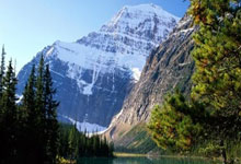 女篮世锦赛冠军诞生，美国女篮成功卫冕