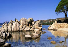 顶级外援加盟，球队整体实力提升